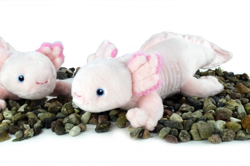Axolotl 28 cm